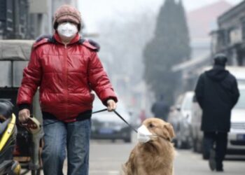 ESPECIAL AIRES TOXICOS