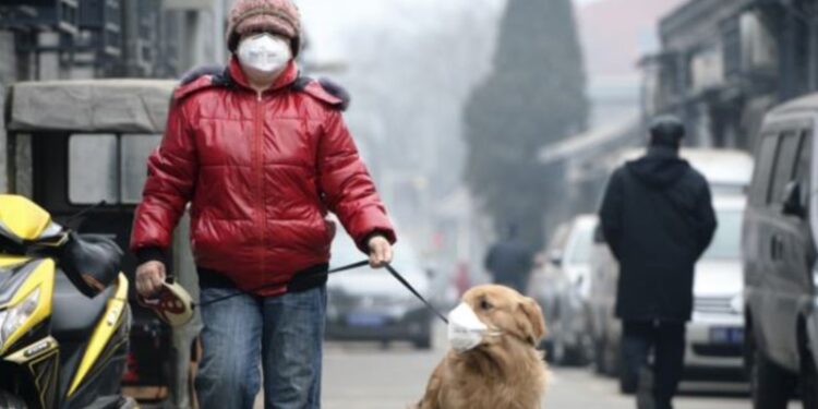 ESPECIAL AIRES TOXICOS