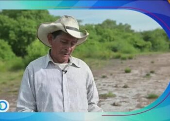 Visión 360: Cuando la sal se vuelve un problema para la vida