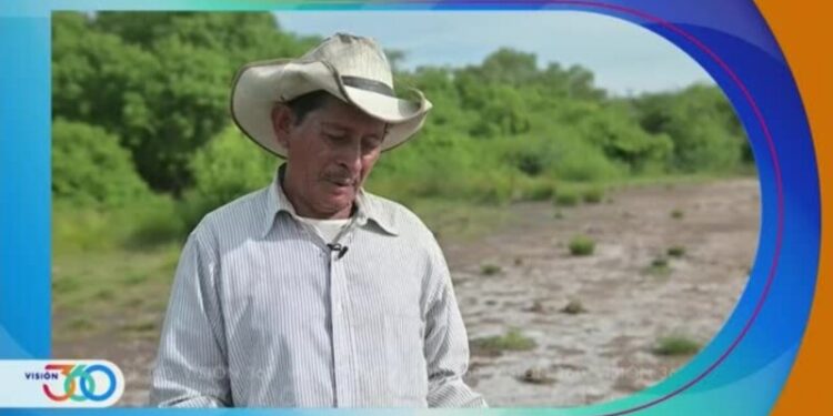 Visión 360: Cuando la sal se vuelve un problema para la vida