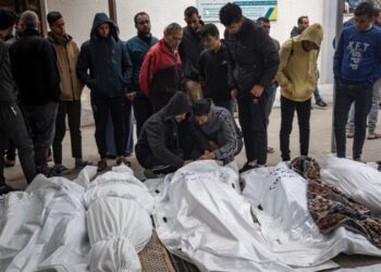 Cifra de palestinos muertos en guerra Israel-Hamás supera los 20.000 según funcionarios palestinos