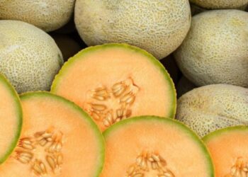 Preocupación en EEUU: reportan tercera muerte por brote de peligrosa bacteria que ya se extiende por 38 estados