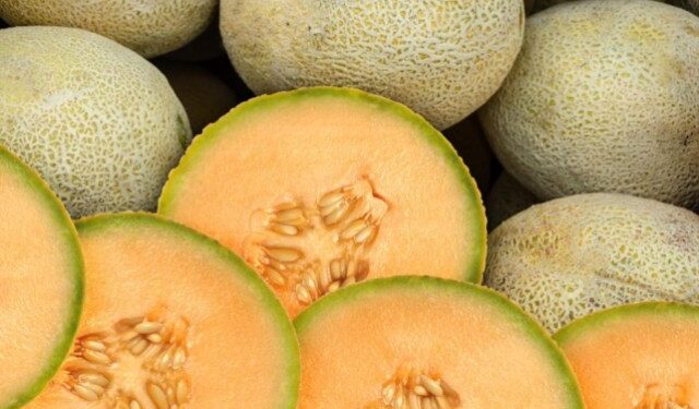 Preocupación en EEUU: reportan tercera muerte por brote de peligrosa bacteria que ya se extiende por 38 estados