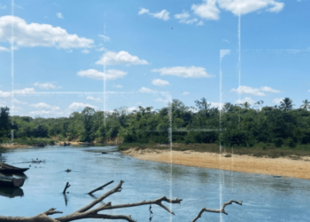 Moskitia, la selva hondureña que se ahoga en cocaína