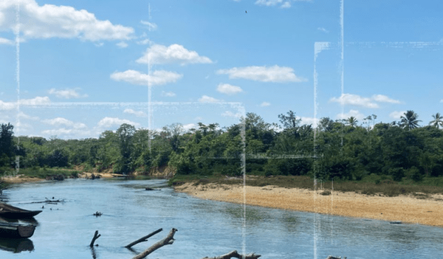 Moskitia, la selva hondureña que se ahoga en cocaína