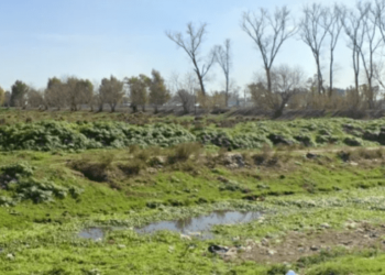 Asaltó a una mujer y horas después apareció sin vida en una obra en construcción en Argentina