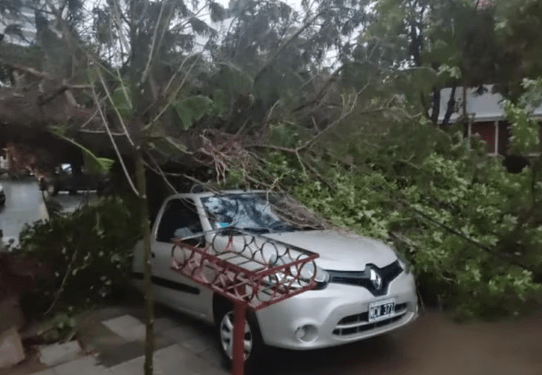 Carros destrozados, árboles caídos y cortes de luz: los impactantes videos de cómo afectó el temporal en Argentina