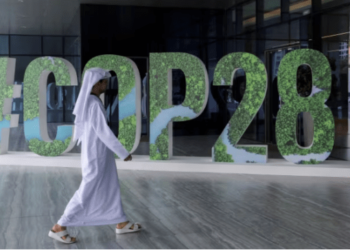La OPS califica como “histórica” la declaración de clima y salud de la COP28