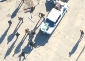 Israel expuso VIDEO en el que terroristas de Hamás robaban ayuda humanitaria para Gaza