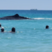 Murió cachalote al entrar a aguas poco profundas llenas de bañistas en Australia (Video)