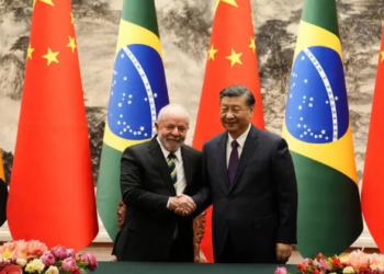 Brasil cedió a China infraestructuras eléctricas, cuotas de mercado e incluso su producción agrícola