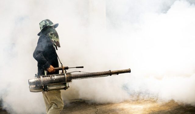 Casos de dengue siguen en aumento en Venezuela aunque sin cifras oficiales