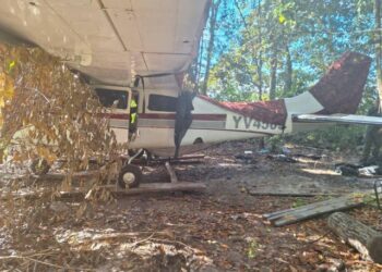 Fanb destruyó dos aviones que eran utilizados para el narcotráfico en Apure (FOTOS)