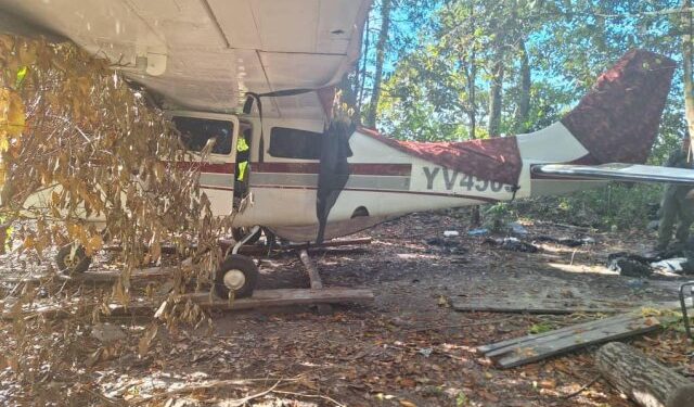Fanb destruyó dos aviones que eran utilizados para el narcotráfico en Apure (FOTOS)
