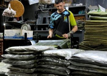 Cómo identificar las mejores hojas para preparar las hallacas