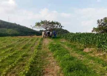 Productores de Carabobo denuncian irregularidades en despacho de combustible