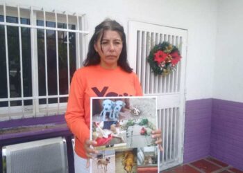 Alertan sobre el incremento de casos de maltrato animal en el norte de Anzoátegui