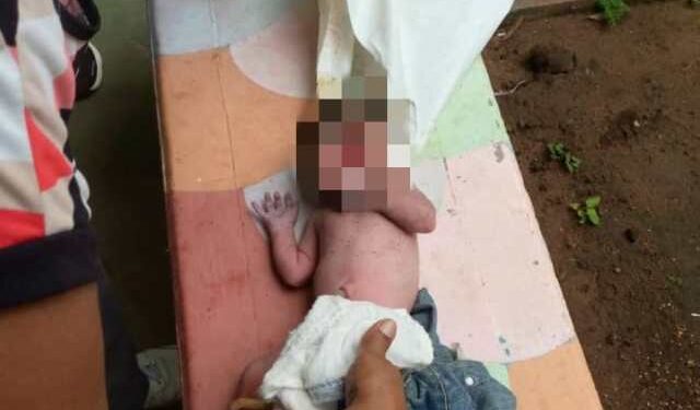 Rescatan a recién nacida abandonada en el patio de una casa en El Furrial (IMÁGENES)