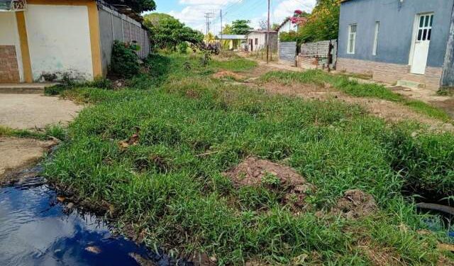 Por falta de mantenimiento colapsa el sistema de aguas negras en Biruaca