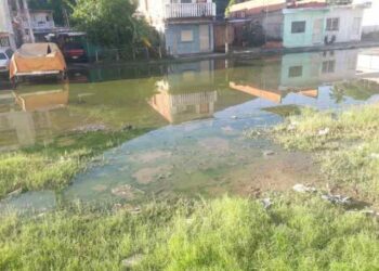 Emergencia sanitaria en Guanta: vecinos viven “ahogados” por colapso de cloacas y basura por todos lados
