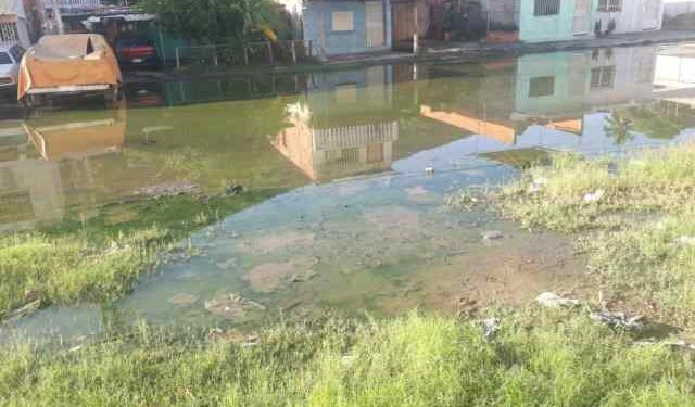 Emergencia sanitaria en Guanta: vecinos viven “ahogados” por colapso de cloacas y basura por todos lados