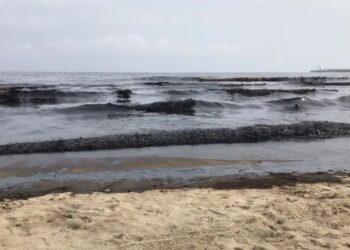 Overflow from the oxidation lagoon of the El Palito refinery in central Venezuela pollutes surrounding beaches