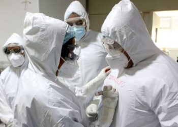 OMS emite alerta por ántrax: en qué países se han reportado muertos