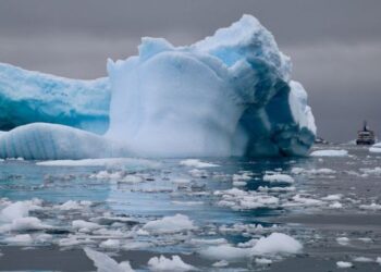 Iceberg más grande del mundo se “escapó” de la Antártida y se dirige al océano abierto, ¿cuáles son los riesgos?