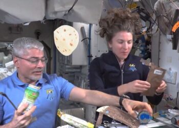 VIDEO: la Nasa reveló cómo hacen los astronautas para preparar alimentos y comer en el espacio