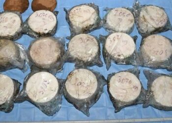 La Policía australiana confisca 722 kilogramos de cocaína en un operativo en Sídney