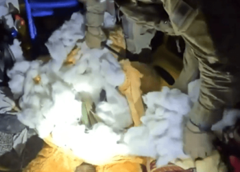 El Ejército de Israel encontró armas escondidas dentro de un oso de peluche en una escuela de Gaza