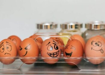 ¿Es sano comer huevos? Los expertos de Harvard revelan cuál es la cantidad recomendada de ingesta diaria