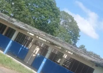Escuela José Antonio Páez en Mantecal, una evidencia de la desidia del chavismo en Apure