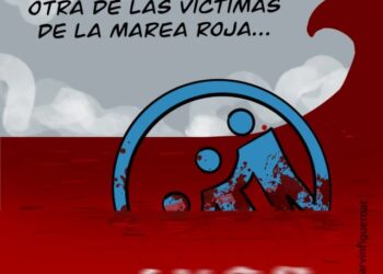 Caricaturas de este domingo 17 de diciembre de 2023