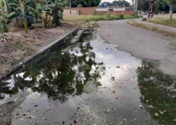 Desbordamiento de aguas negras provoca enfermedades en vecinos de La Isabelica en Valencia