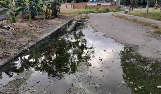 Desbordamiento de aguas negras provoca enfermedades en vecinos de La Isabelica en Valencia