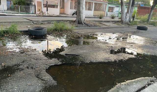 Colapso de aguas servidas pone en riesgo la salud de vecinos en Maracay
