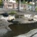 Colapso de aguas servidas pone en riesgo la salud de vecinos en Maracay
