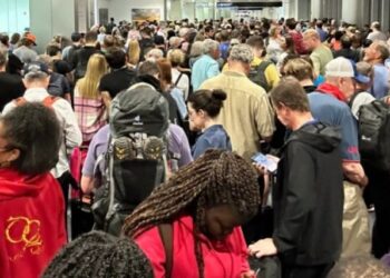 Reportan récord de viajeros en Miami y el resto de Florida durante las navidades