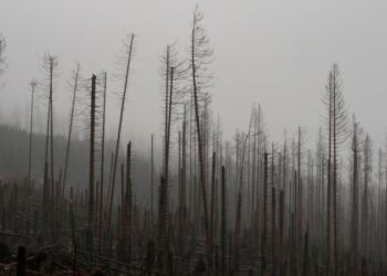 Tormenta causa estragos en Europa
