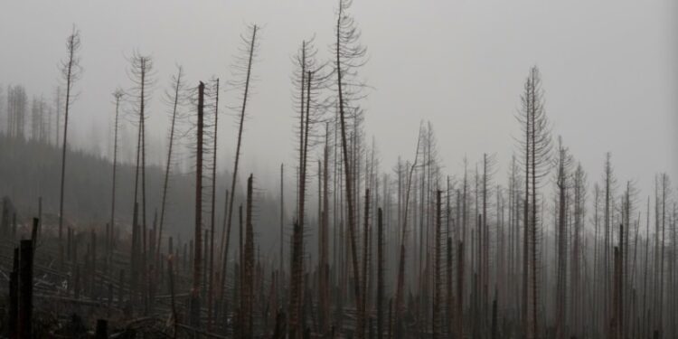 Tormenta causa estragos en Europa
