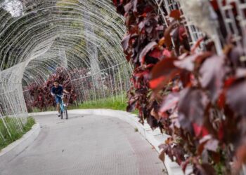 “Pacheco” dejó embarcados a los caraqueños: ¿Seguirá la ola de calor?