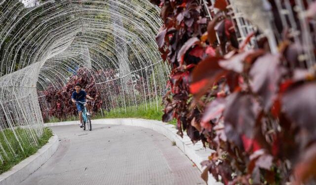 “Pacheco” dejó embarcados a los caraqueños: ¿Seguirá la ola de calor?