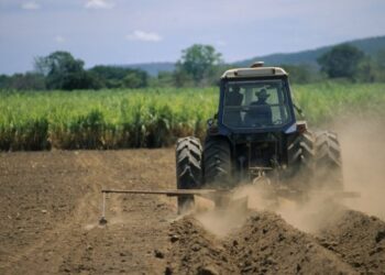 Productores agrícolas de Portuguesa sufren pérdidas por falta de combustible