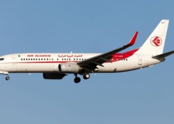 Intentó viajar como polizón en el tren de aterrizaje de un avión, pero todo terminó de la peor manera