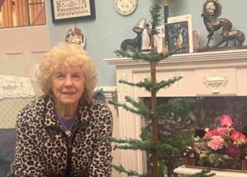 El árbol de Navidad más “humilde” del mundo, comprado por unos centavos, se vende por 4.000 dólares en una subasta