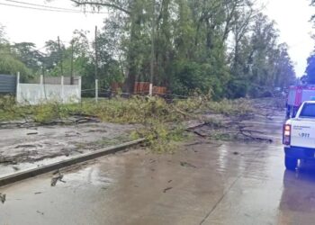 Fuerte temporal en Argentina deja al menos 15 víctimas fatales