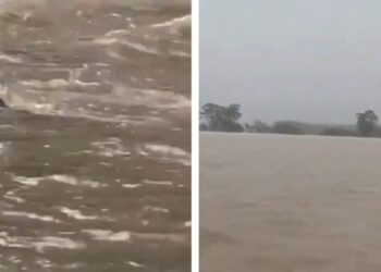 Tormentas en el este e incendios en el oeste: la lucha de Australia por el fenómeno El Niño (Videos)