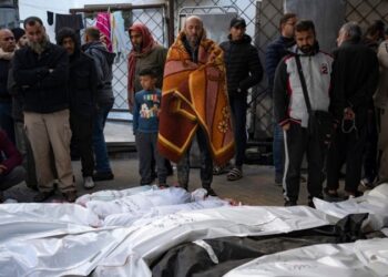 Guerra de Gaza es un «fracaso moral» mundial, dice jefe de la Cruz Roja