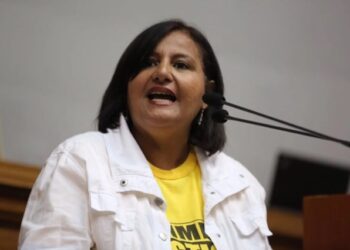 Dinorah Figuera afirma que continuidad de la AN-2015 está en debate
